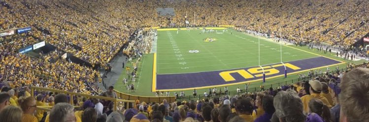 LSU banner