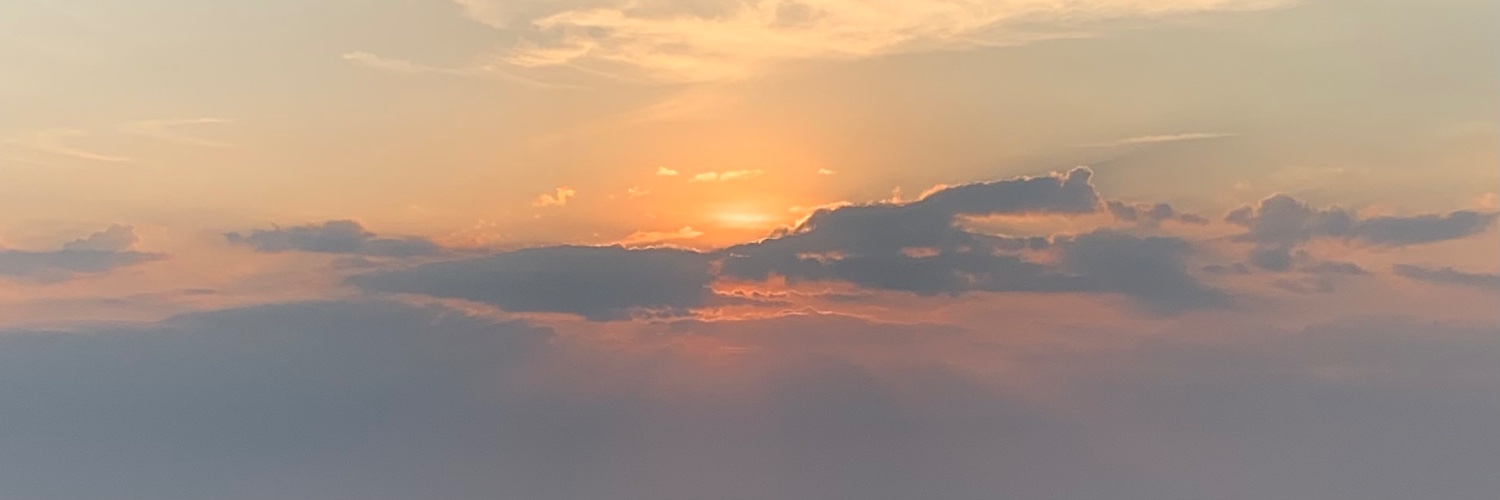 w · ₊˚ banner
