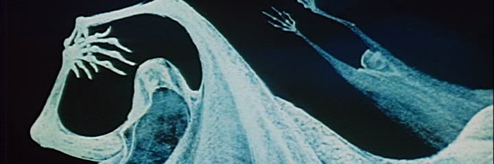 Shanks 🍊🏴‍☠️💀😈 banner