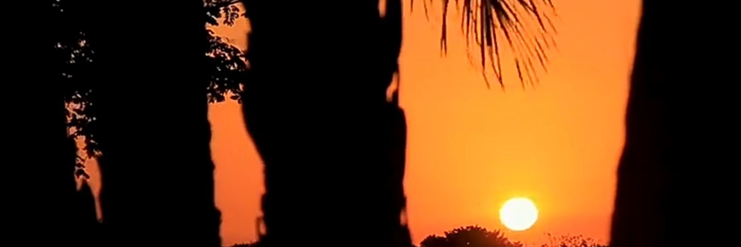 JhonnyLagos's profile banner image