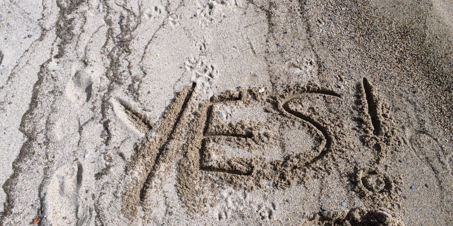 lyndsey klein banner