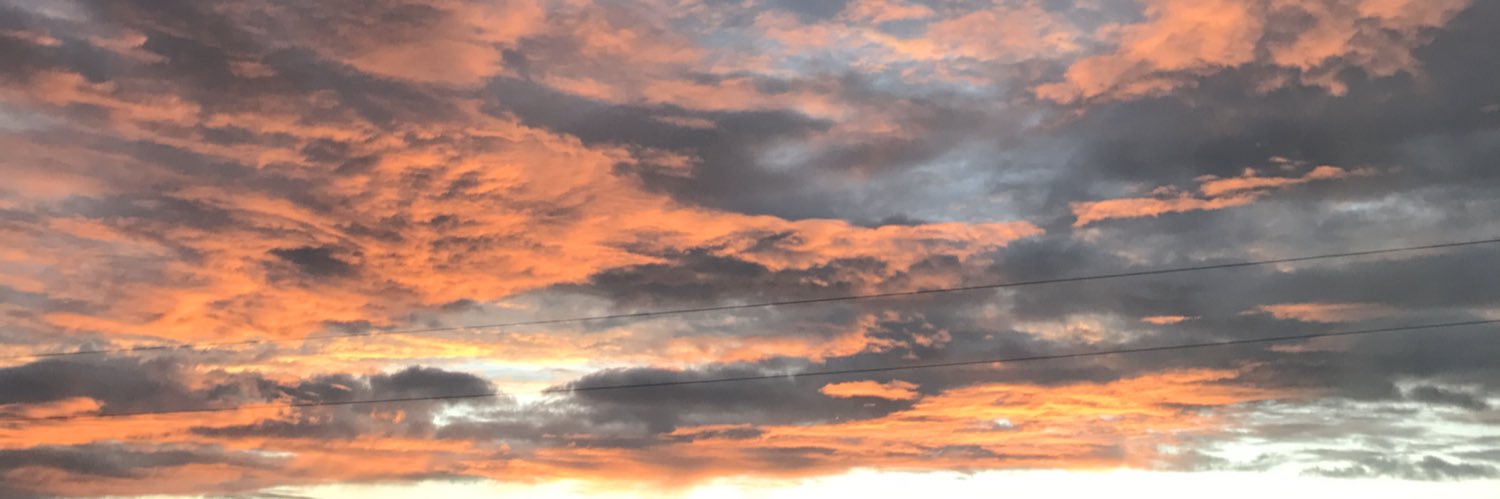 thatplantqueen's profile banner image