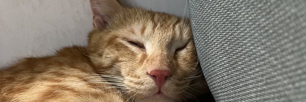 rishxbhh Profile Banner