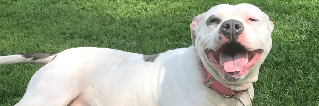 b__nichole's profile banner image