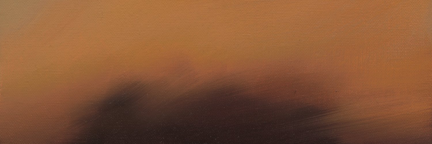 The Besnard Lakes banner