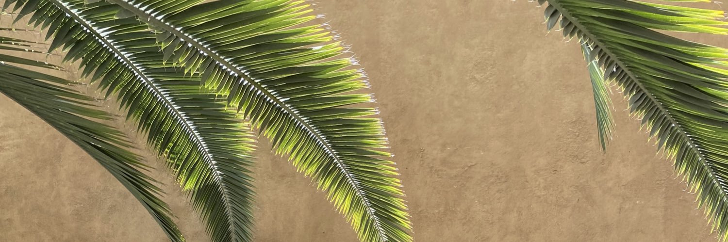 _SofiaParedes's profile banner image