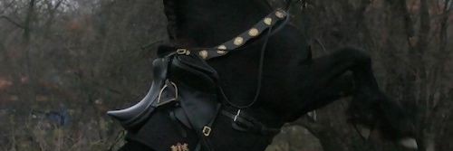 SABINE banner