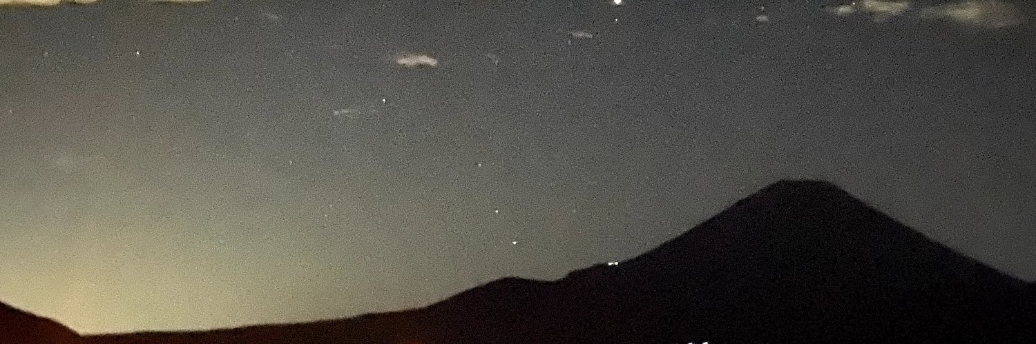 erudandelion's profile banner image
