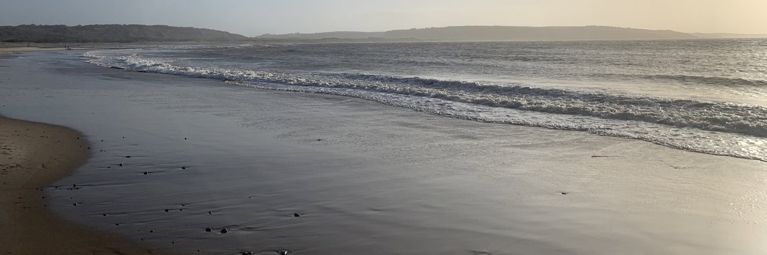 Ronnie & Reggie banner