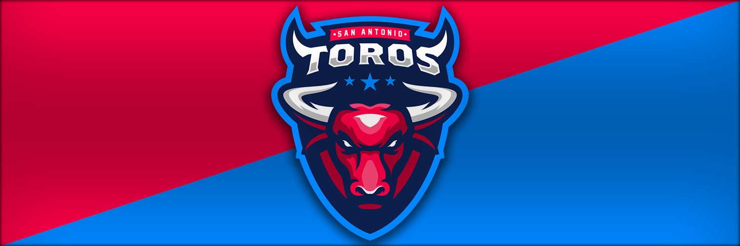 WR Toros banner