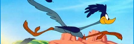 WR Richmond Road Runners banner