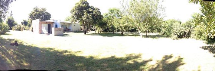 Teresita Ferrari 🇮🇱⭐️⭐️⭐️ banner