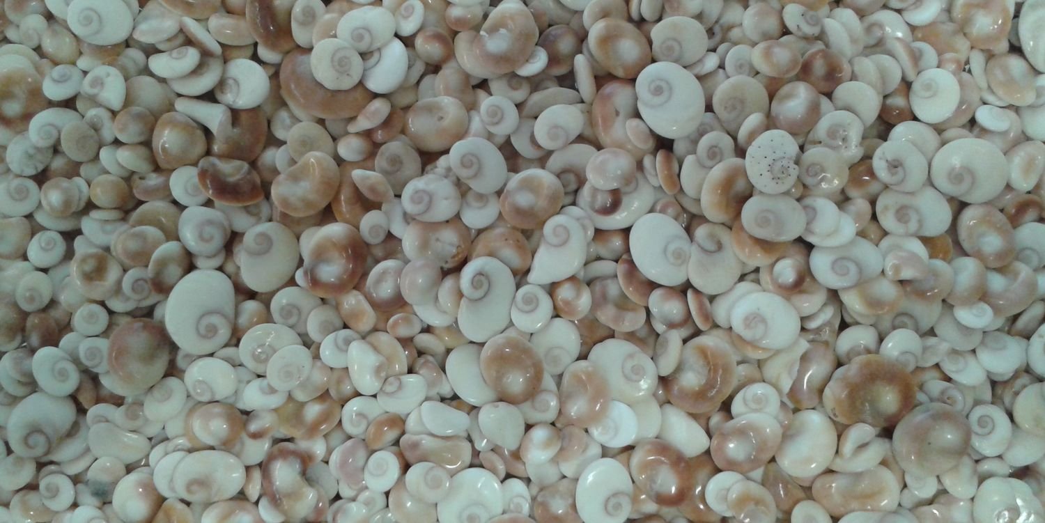 aksa7008's profile banner image