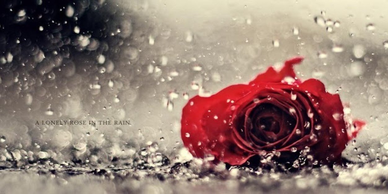 Ruth Barbetta banner