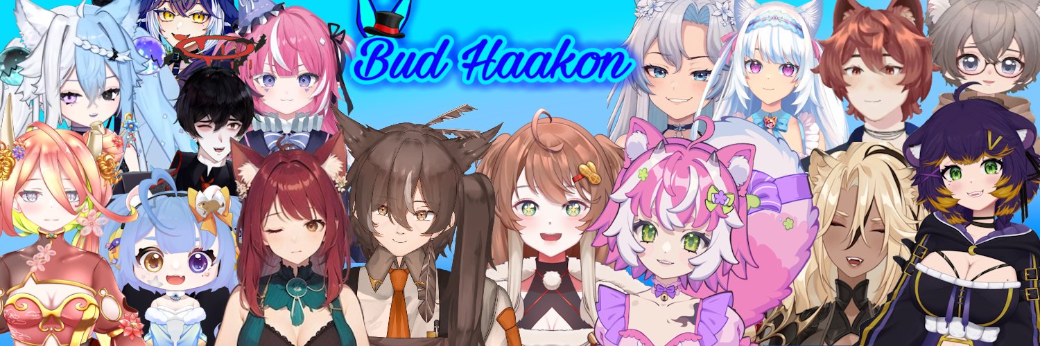 BudHaakon's profile banner image