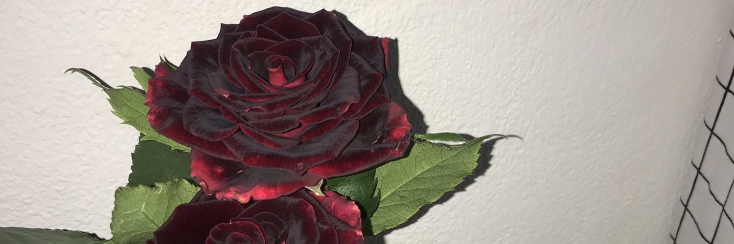 Veggie 🥦 banner