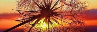 CarMorVar's profile banner image