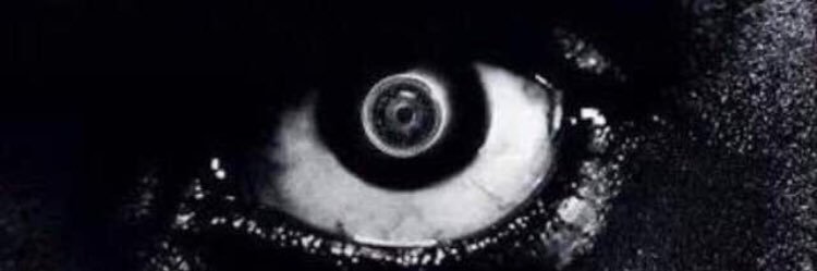 Ross Sinclair banner