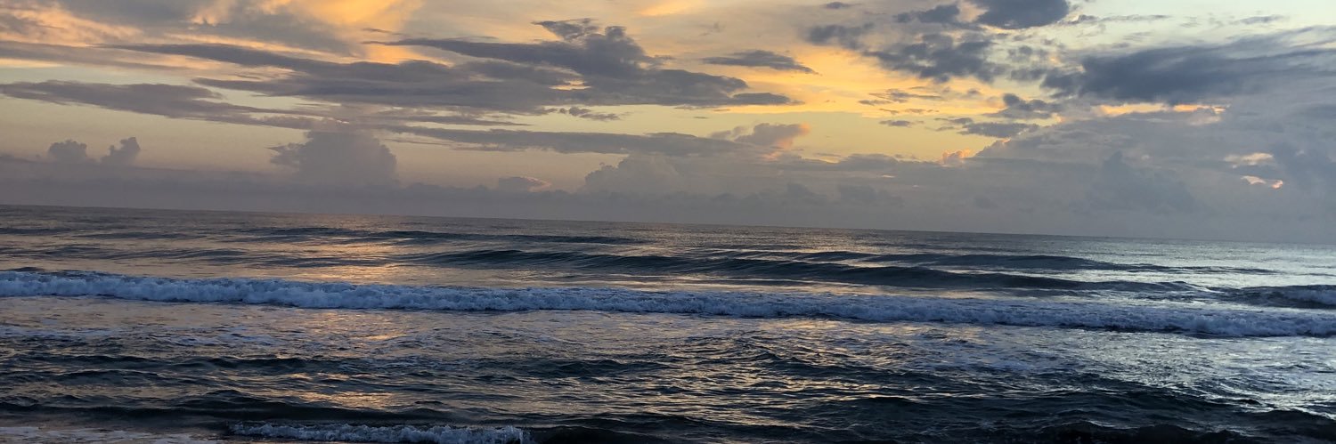 johanarvalencia's profile banner image