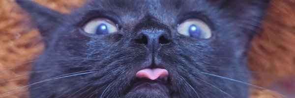 flatdarkearth45 Profile Banner