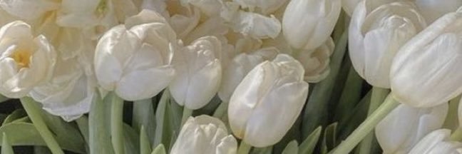 Kathydrm_'s profile banner image