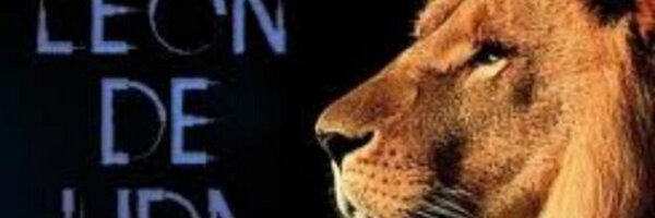 ITORREFUERTE Profile Banner