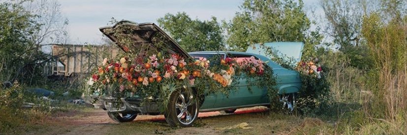 NeesyRoss's profile banner image
