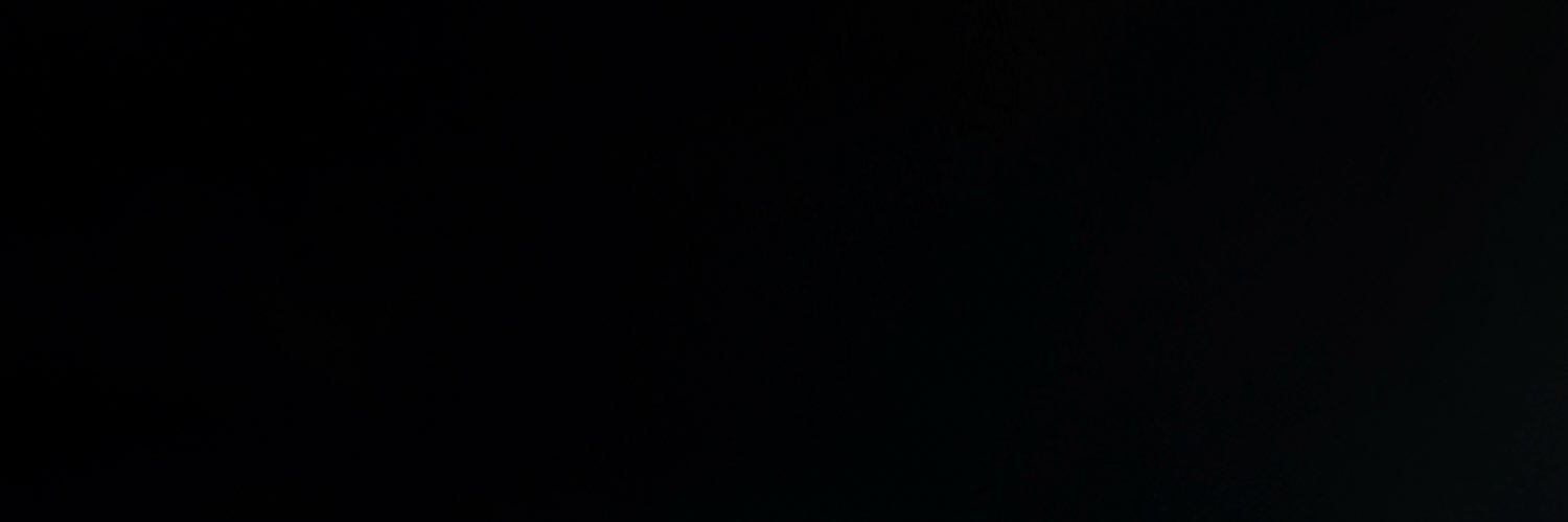 ldantss's profile banner image