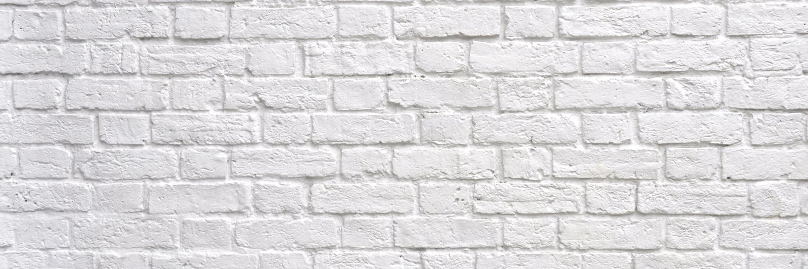 AlexanderTachev's profile banner image