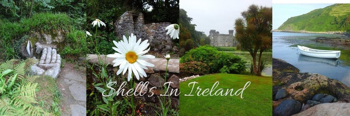 ShellsInIreland's profile banner image