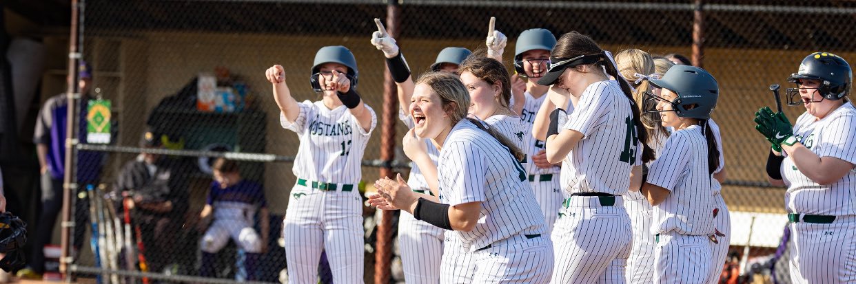 Strongsville Softball banner