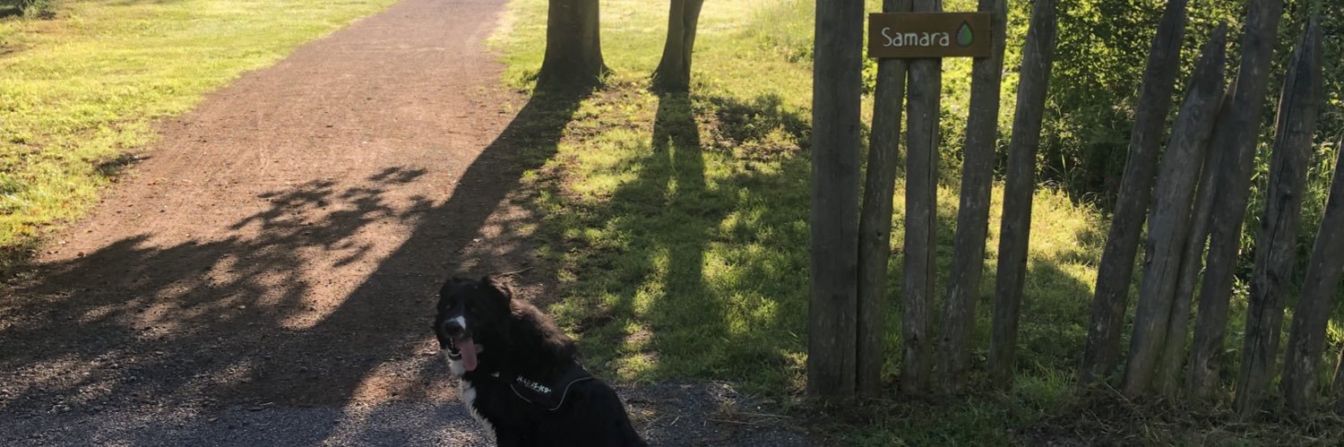 kreftdavid's profile banner image