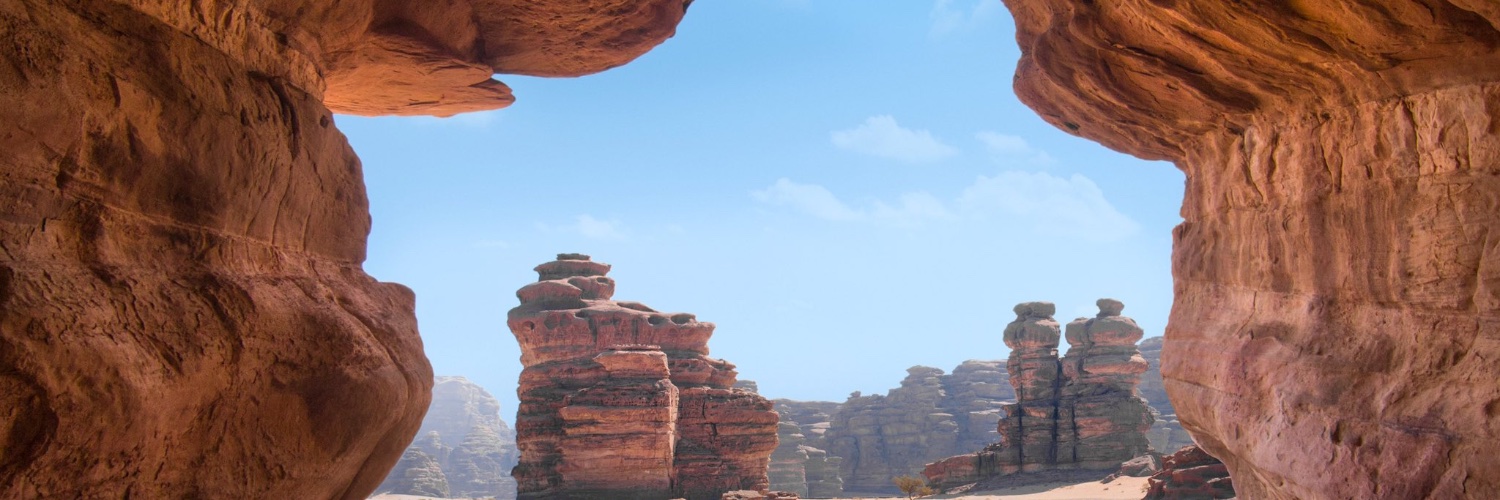 MAS banner