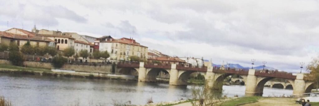 Natalia Gonzalez banner