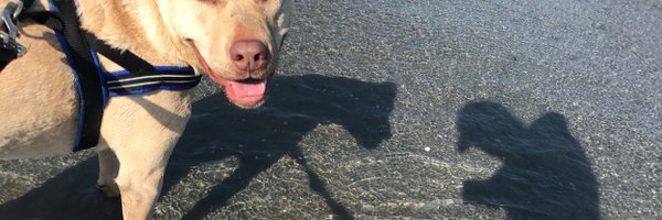 RaynaRambling Profile Banner