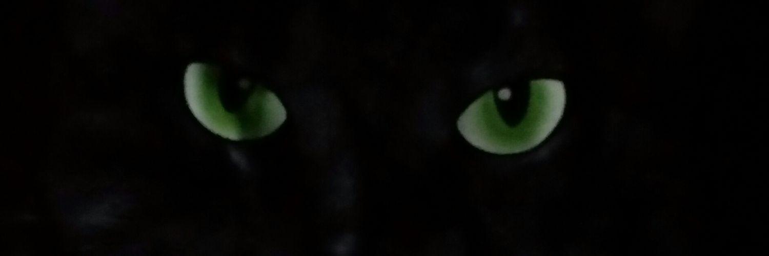kittenish1972's profile banner image