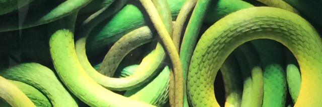 gmos72's profile banner image