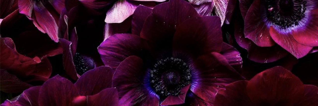ChamasNassif's profile banner image