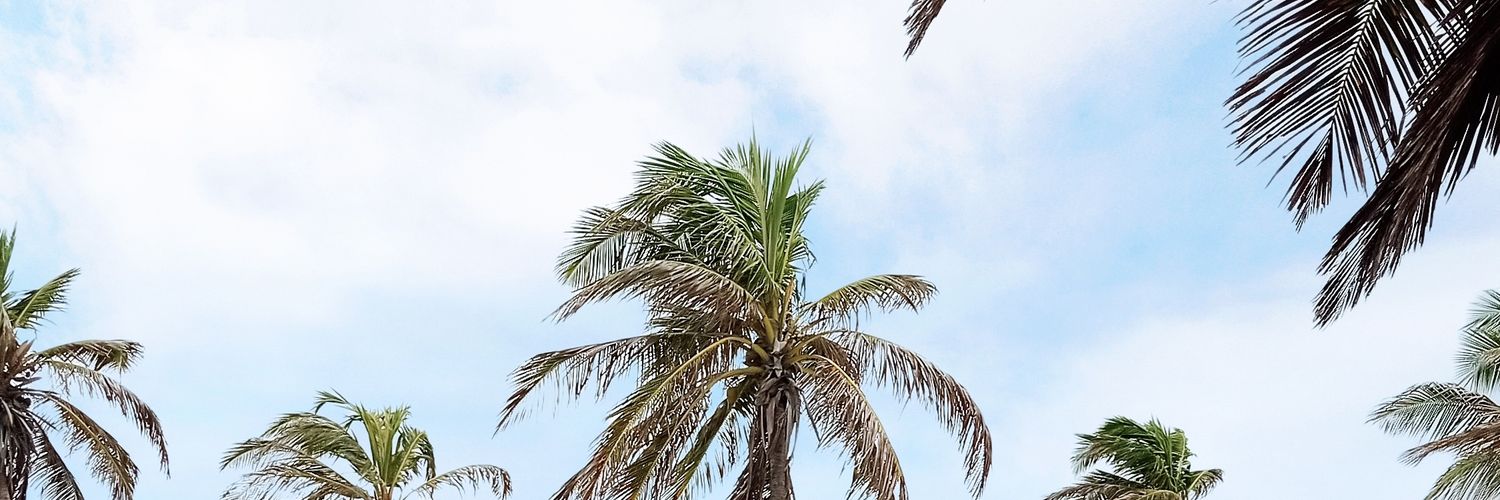 cadeagorda's profile banner image