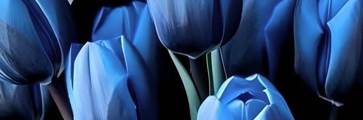 xElectricFeel's profile banner image