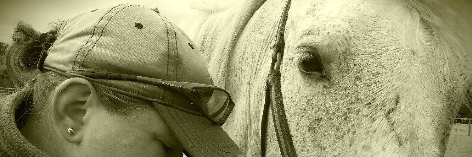 Equi_Services's profile banner image