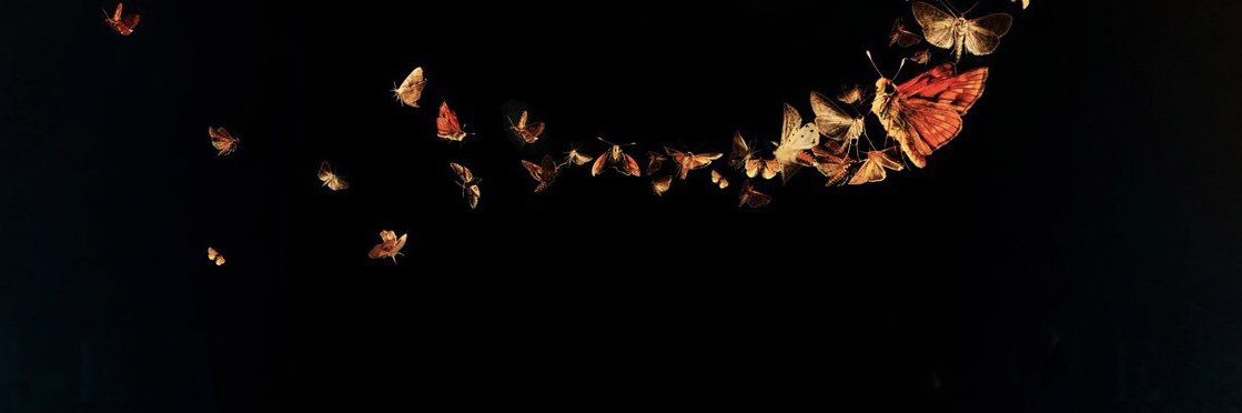 Flabsa's profile banner image