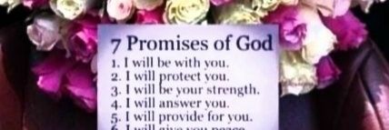 Teresa's banner