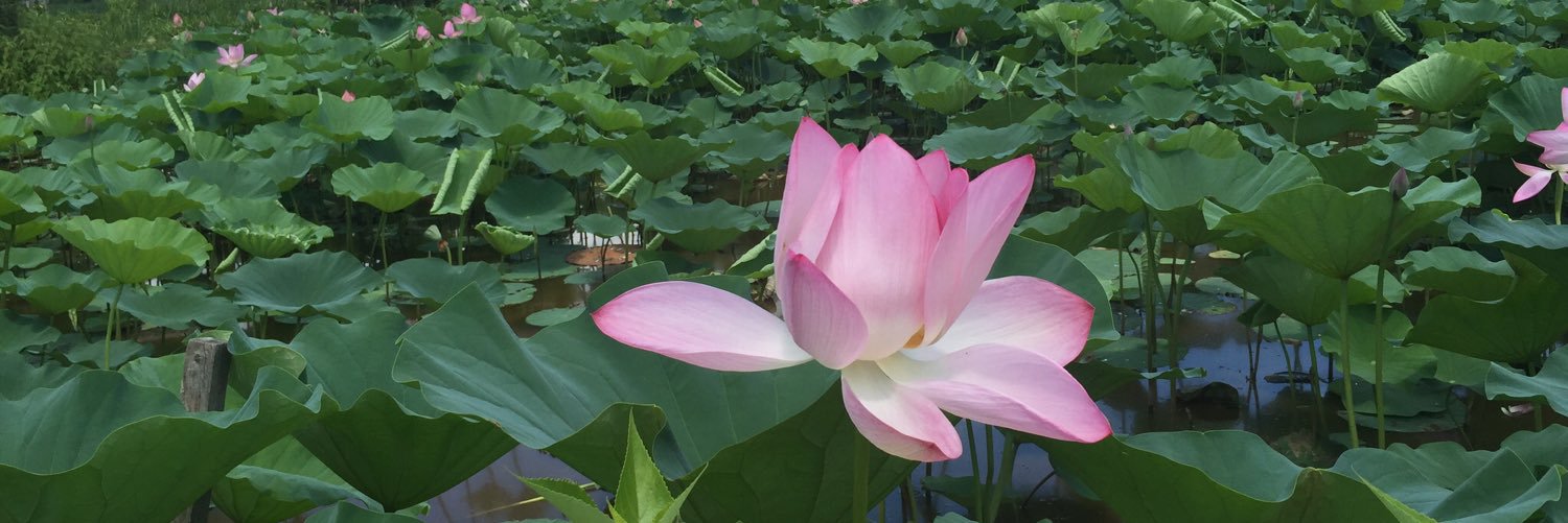 SarahB_DC's profile banner image