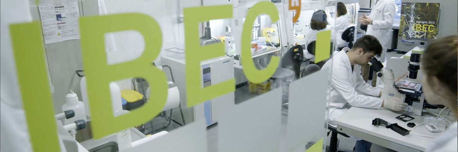 IBEC's banner