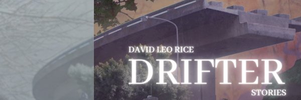 raviddice Profile Banner
