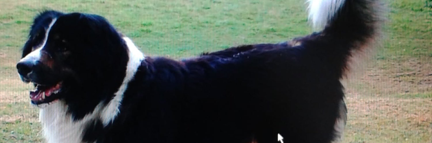 michaelmhoward1's profile banner image