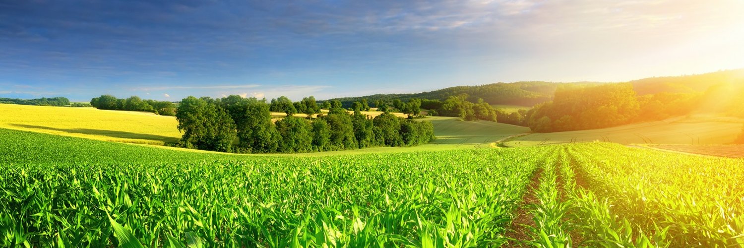 Brown&Co Rural banner