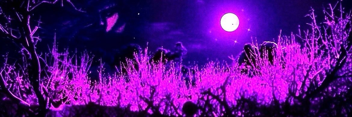 Cystic's banner