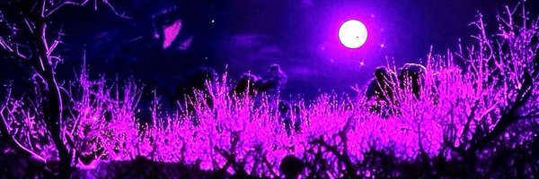 CysticOfficial Profile Banner